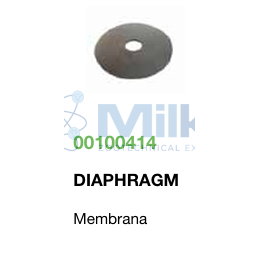MEMBRANA