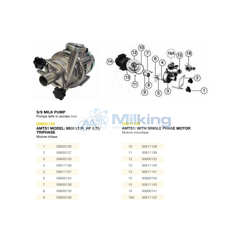 BASE POMPA INOX 12