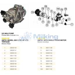 DADO INOX 13