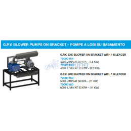 POMPA A LOBI G.P.V. 3300 SU MENSOLA CON SIL. 3300 L/MIN