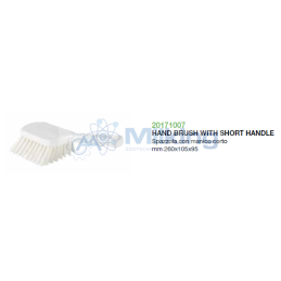 SPAZZOLA CON MANICO CORTO MM 260X105X95
