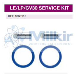 KIT REVISIONE LE30