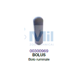 BOLO