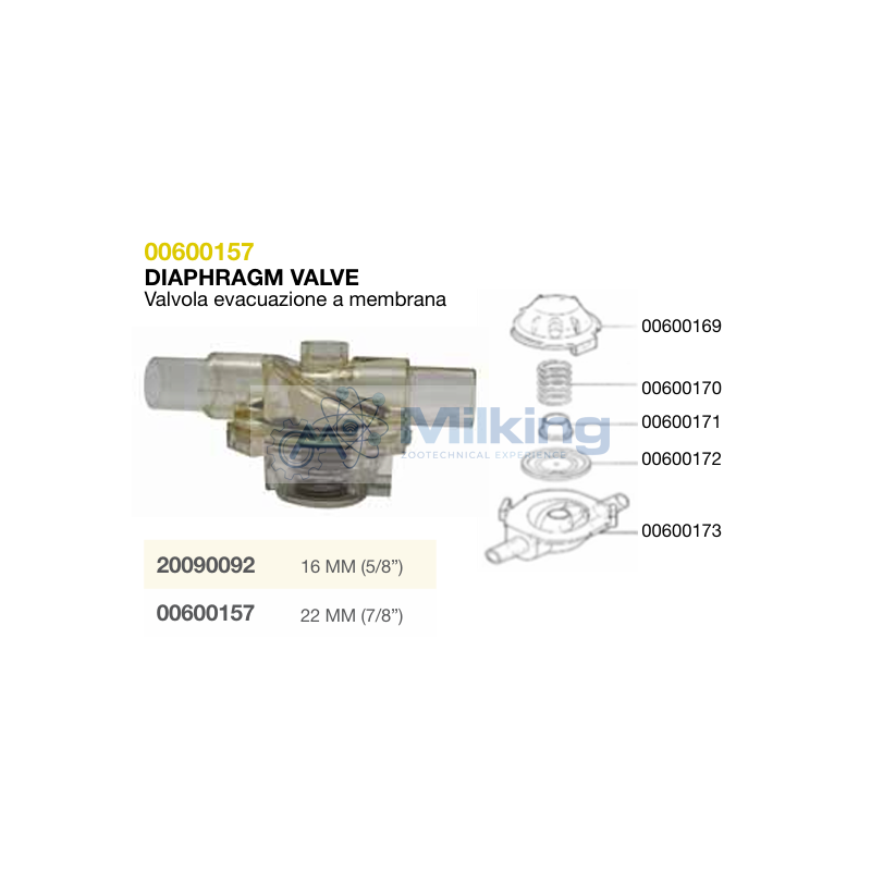 MOLLA