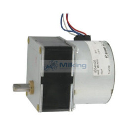 MOTORE 24VAC 6RPM CROUZET NR: 80547029