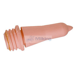 POPPATOIO ROSA CON FILETTO