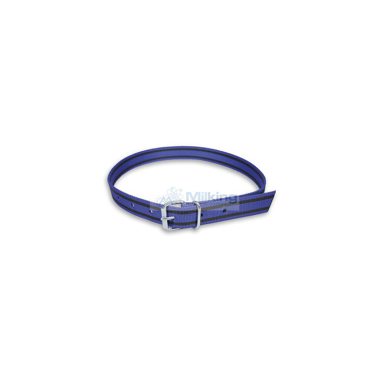 COLLARE IDENTIFICAZIONE BLU/NERO 150 CM