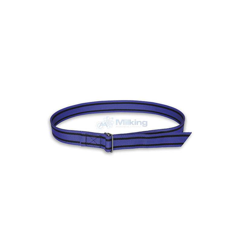 COLLARE CON PASSANTE SEMPLICE 40 MM, BLU/NERO, 1,5 MT