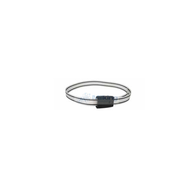 COLLARE CON FIBBIA IN PLASTICA, 40 MM