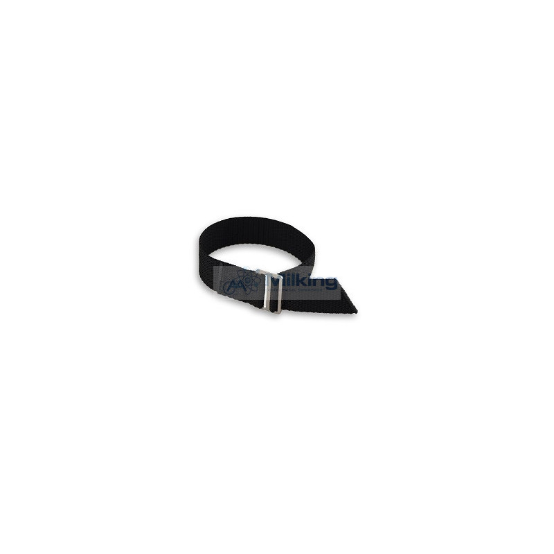 STRINGA PER CAVIGLIA CON FIBBIA 42 CM