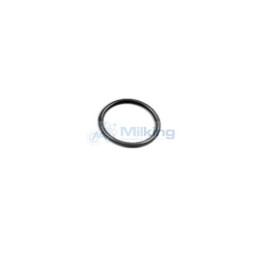 OA'RING FILTRO LATTE WF MIONE CORR. 7801-2764-010
