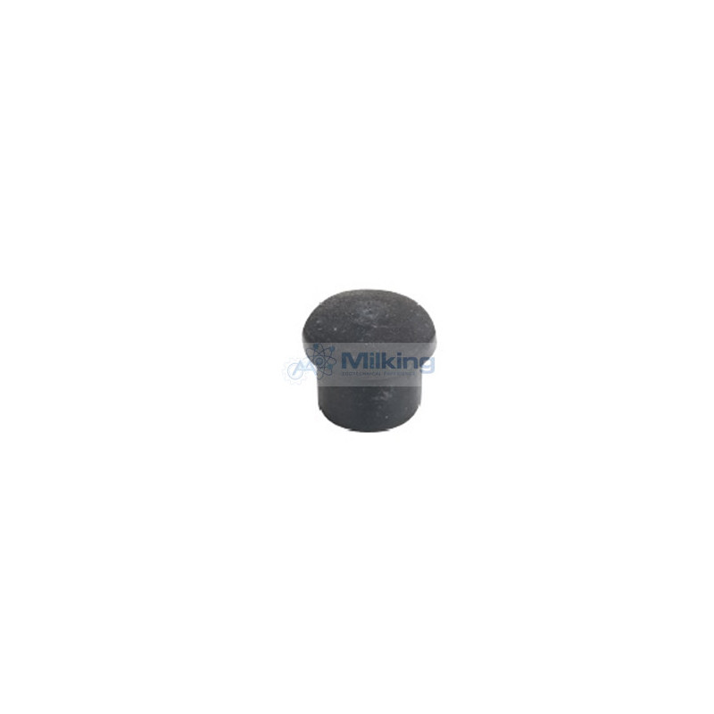 RACCORDO FILTRO 20 MM DELAVAL CORR. 95831301