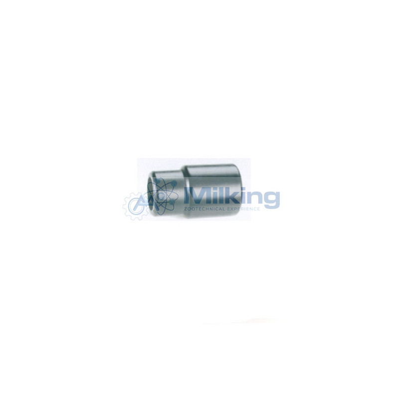 MANICOTTO 45X37