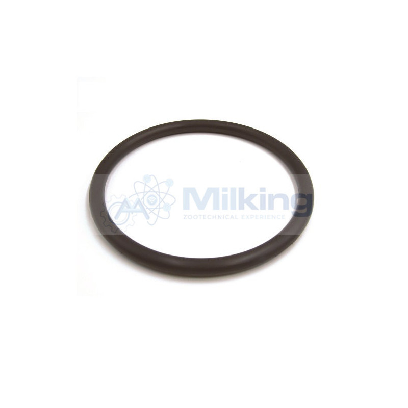 GUARNIZIONE TONDA PER VASO TERMINALE DELAVAL, CORR. 99758101