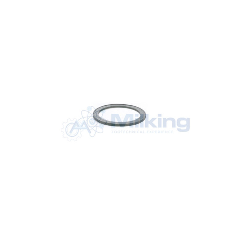 GUARNIZIONE TIPO WESTFALIA 190X165