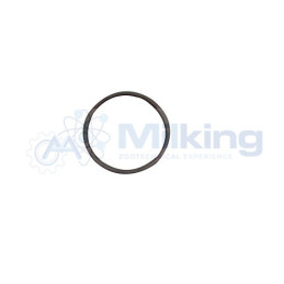 O'RING PER CONTENITORE DETERGENTE DL E PROMINOX