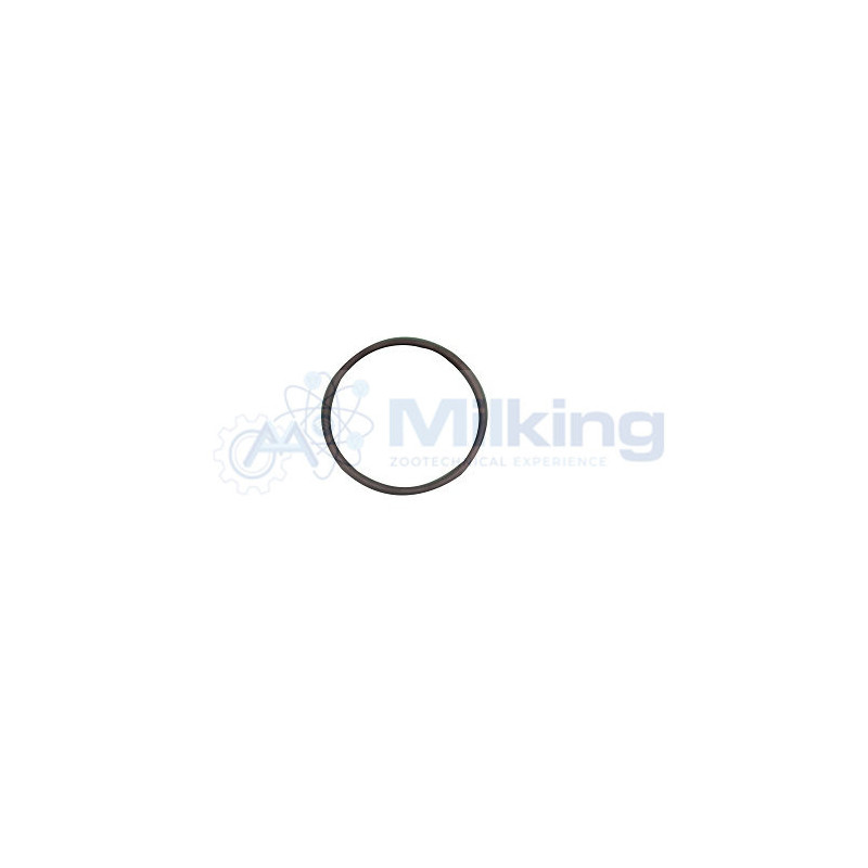 O'RING PER CONTENITORE DETERGENTE DL E PROMINOX