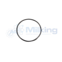 O'RING PER CONTENITORE DETERGENTE JAPY