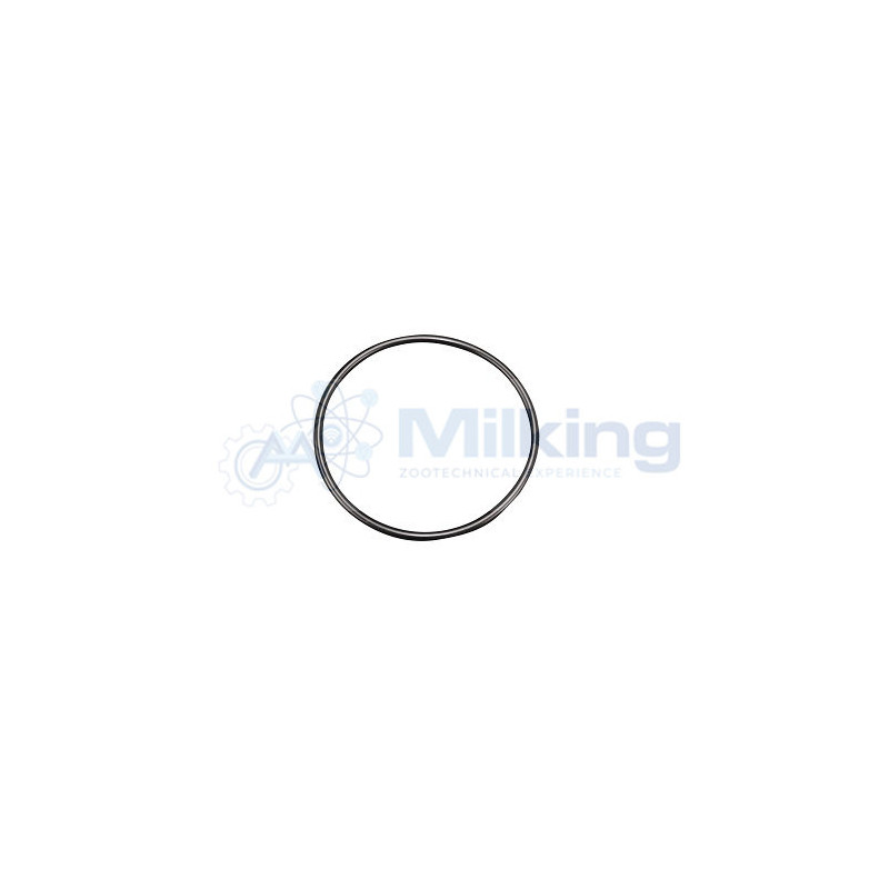 O'RING PER CONTENITORE DETERGENTE JAPY