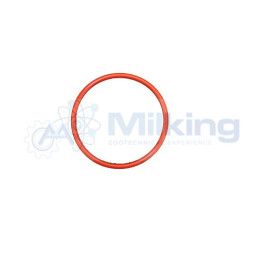 O'RING CONTENITORE DETERGENTE SERAP/MUELLER