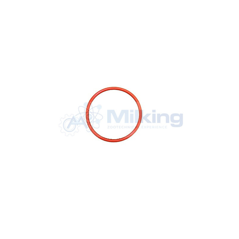 O'RING CONTENITORE DETERGENTE SERAP/MUELLER