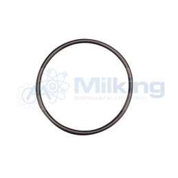 O'RING FLANGIA PER POMPA LAVAGGIO SIREM PB80