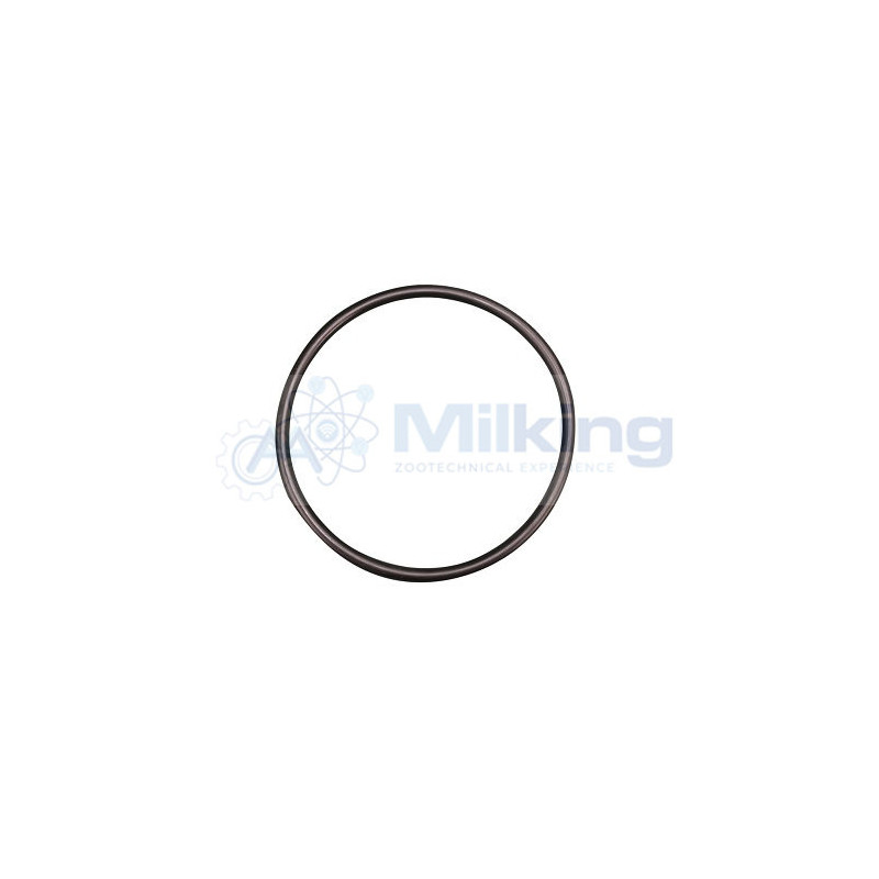 O'RING FLANGIA PER POMPA LAVAGGIO SIREM PB80