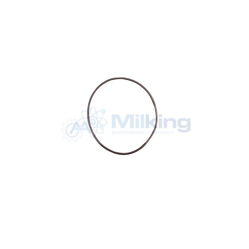 O'RING FLANGIA PER POMPA LAVAGGIO SIREM PX