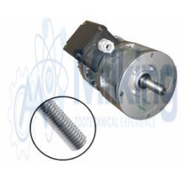 MOTORIDUTTORE SIREM MONOFASE 230V-R1C225M6BC, 25 GIRI/MIN