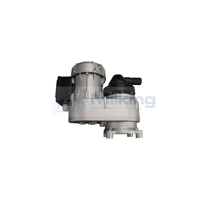 SIREM 230V - R1C245NP5B, 23 GIRI/MIN