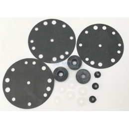 KIT RIPARAZIONE PER PULSATORE LECTRON CORR. D255654