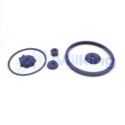 KIT MANUTENZIONE COLLETTORE