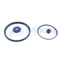 KIT MANUTENZIONE COLLETTORE SENZA VALVOLA CORR. SF309 10320281