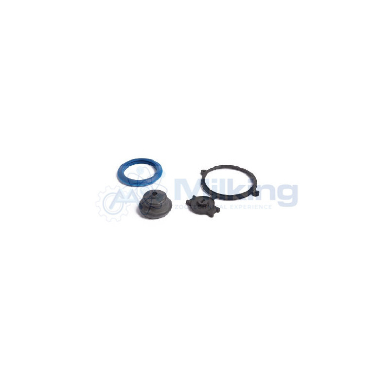 KIT RIPARAZIONE FLOMASTER CORR. 989836 80