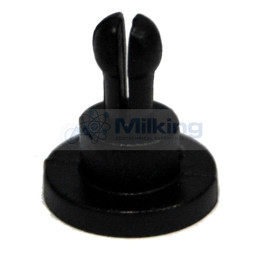 STRINGIMOLLA HP 100