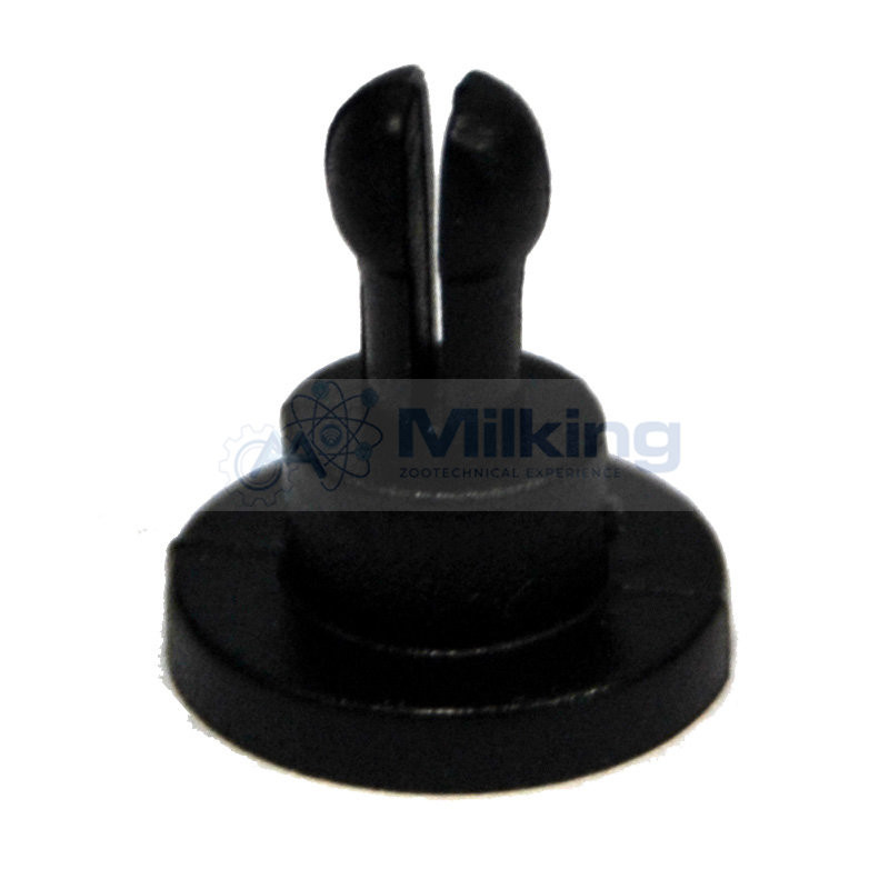 STRINGIMOLLA HP 100