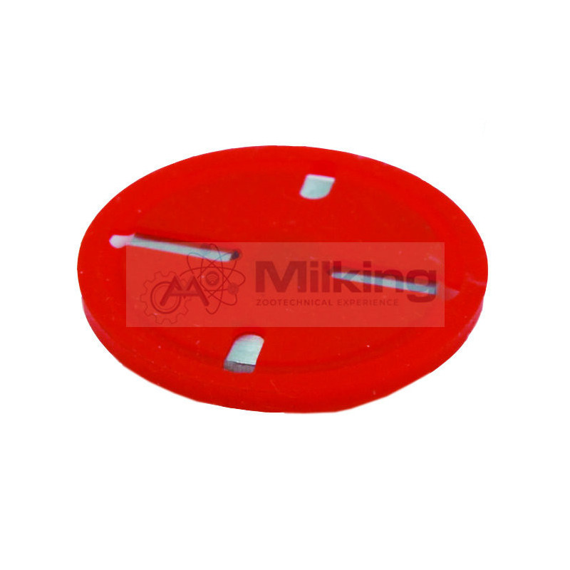MEMBRANA COMPLETA X APEX 25,6X3,5 CORR. 7051 1703 000