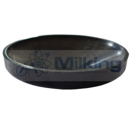 GUARNIZIONE CL CL, CORR. DELAVAL 99941302