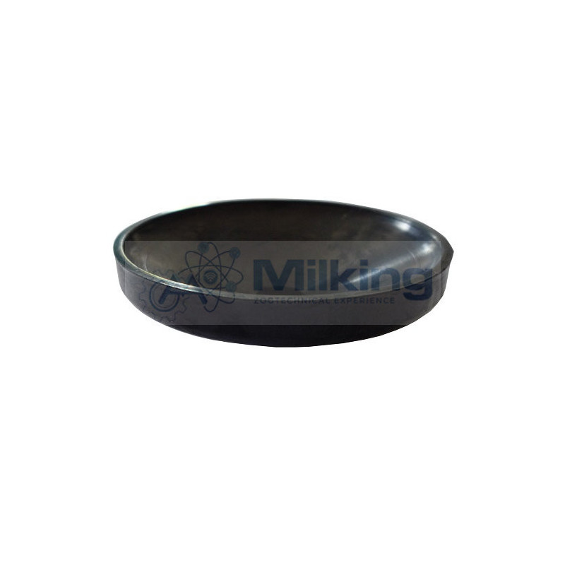GUARNIZIONE CL CL, CORR. DELAVAL 99941302