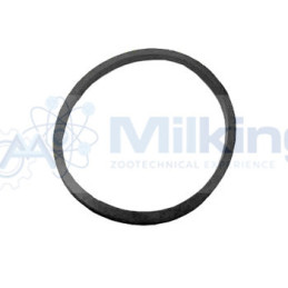 O RING COPERCHIO POMPA LATTE MELOTTE COR. T 242.035