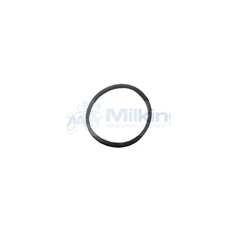 O RING COPERCHIO POMPA LATTE MELOTTE COR. T 242.035