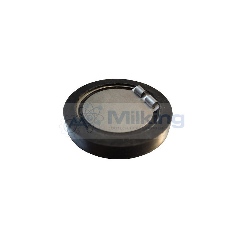VALVOLA NON RITORNO FMP55/110 CORR. 98976580