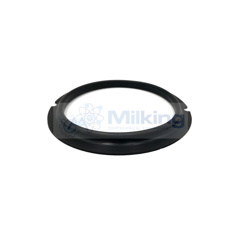 GUARNIZIONE POMPA LATTE FMP 55/110 CORR. 99544301