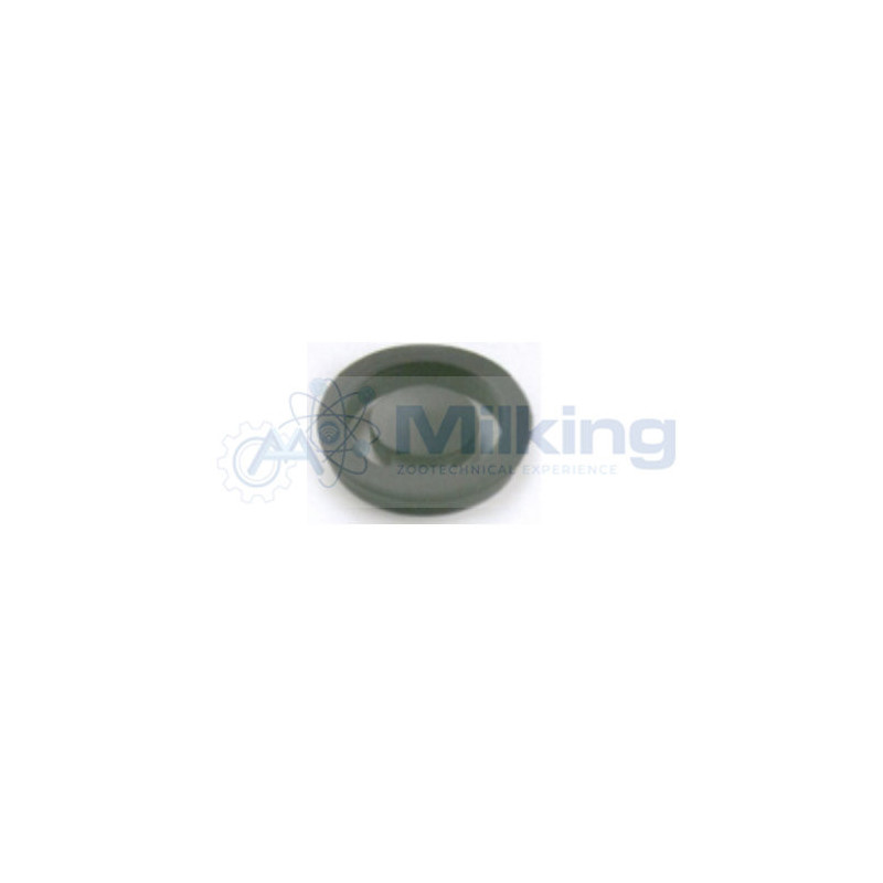 VALVOLA POMPA LATTE TIPO DL 95158901