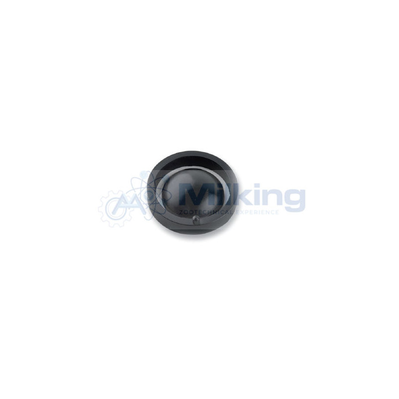 VALVOLA POMPA LATTE TIPO 952701