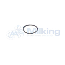 GUARNIZIONE COLLETTORE ISOLAC COR. D 382741