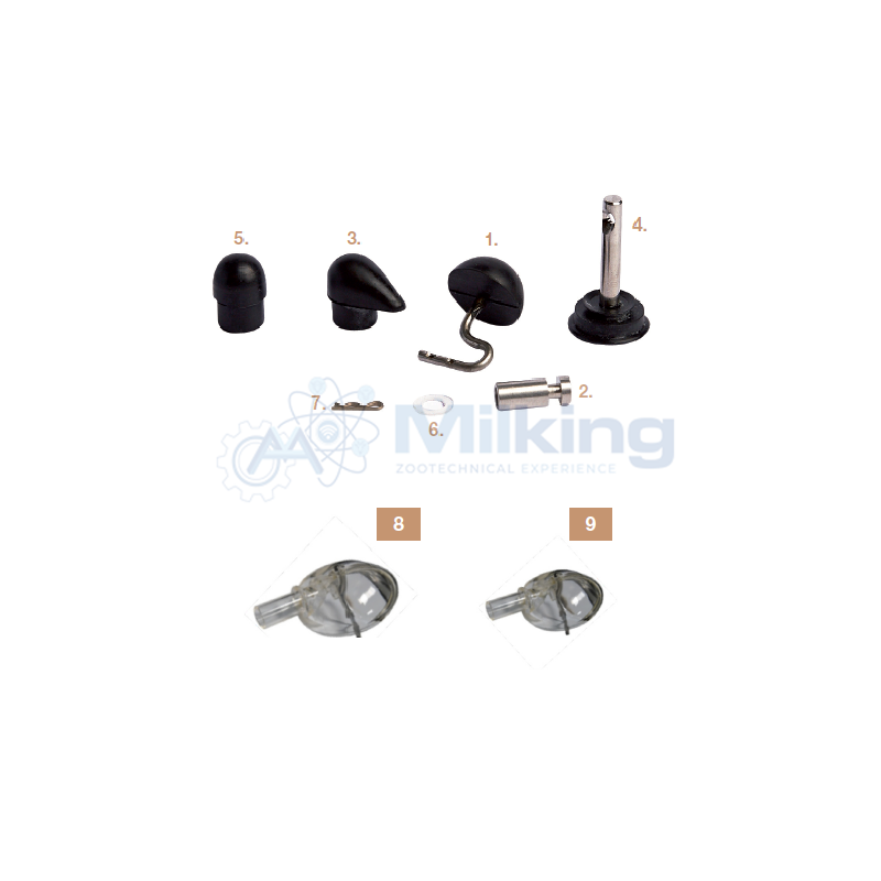 CAPPUCCIO DADO CORR. 021533