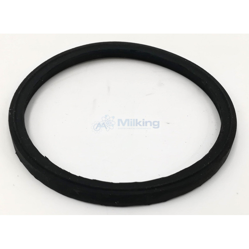 GUARNIZIONE COLLETTORE TIPO 960521-01
