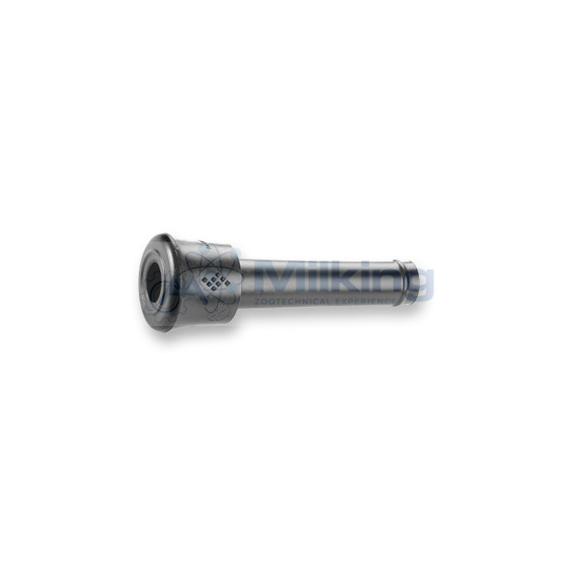 GUAINA ADATT. WESTFALIA 7021-2725-110 F23