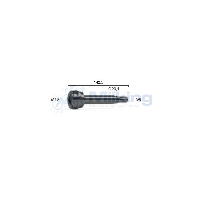 GUAINA TIPO GASCOIGNE T. MK7